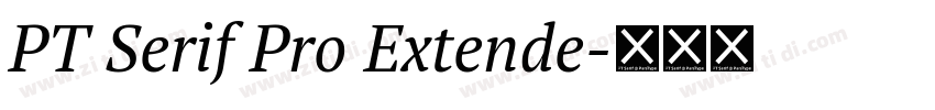 PT Serif Pro Extende字体转换
